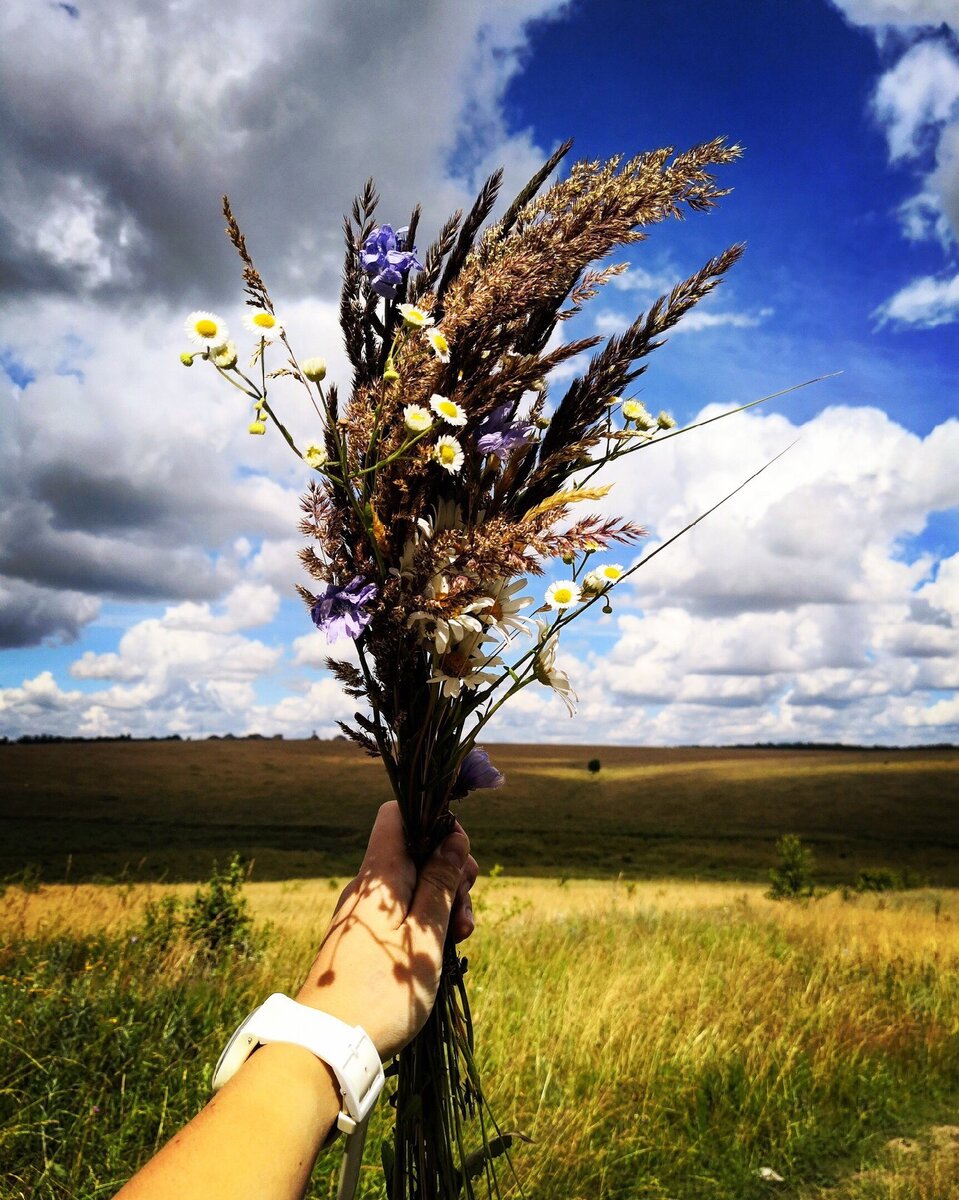 картинка взята из свободного источника