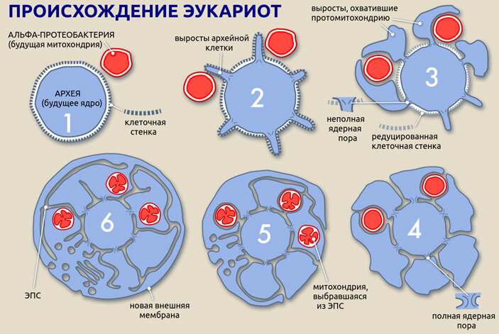 Вот так вот это как-то и было