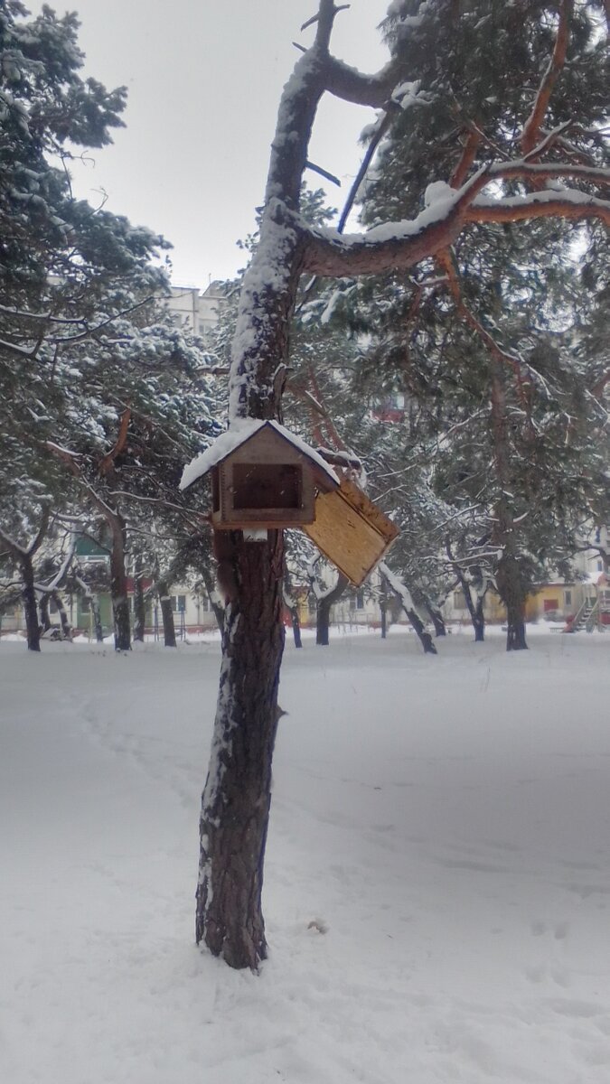 Фото сила - в знаниях