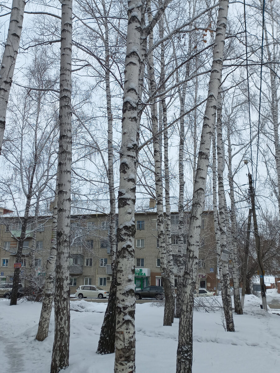 Воскресенье тоже ленивое кофейно шоколадное | Беретка | Дзен