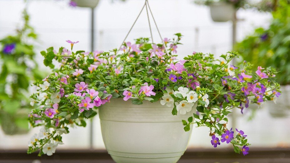 ShutterStock/Fotodom.ru 