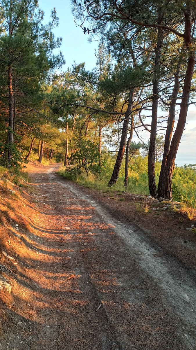 НОВЫЙ ПРОГУЛОЧНЫЙ МАРШРУТ В ГЕЛЕНДЖИКЕ