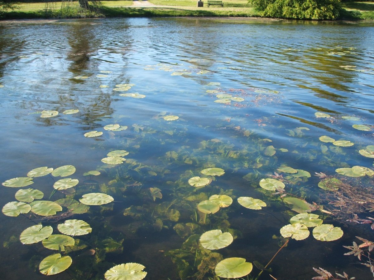 Фото с интернета