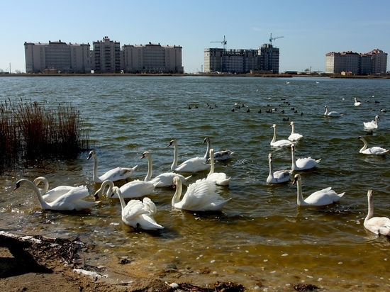 Взято из общего доступа.