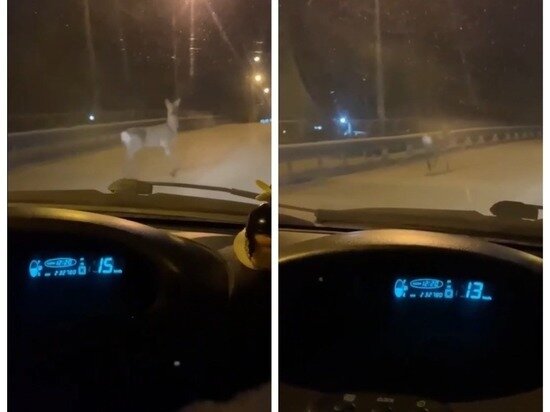     группа «АСТ-54» «ВКонтакте»