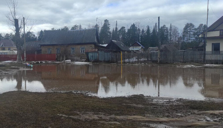    Талая вода в Черемушках затопила несколько домовладений