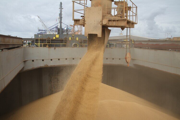 Фото из открытых источников.