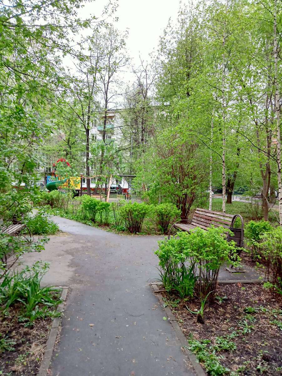 Классный московский зеленый дворик