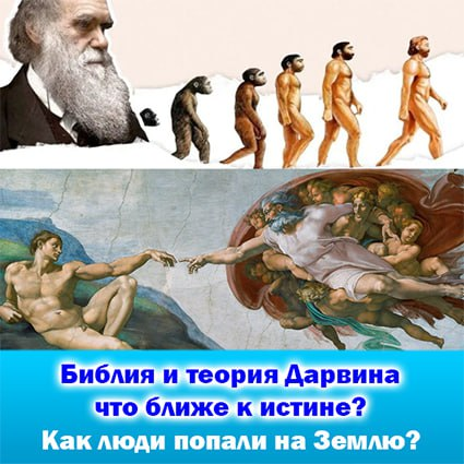 Происхождение человека. Как появился первый человек. Первый человек на земле. Зарождение человека на земле. Появление человека на земле.