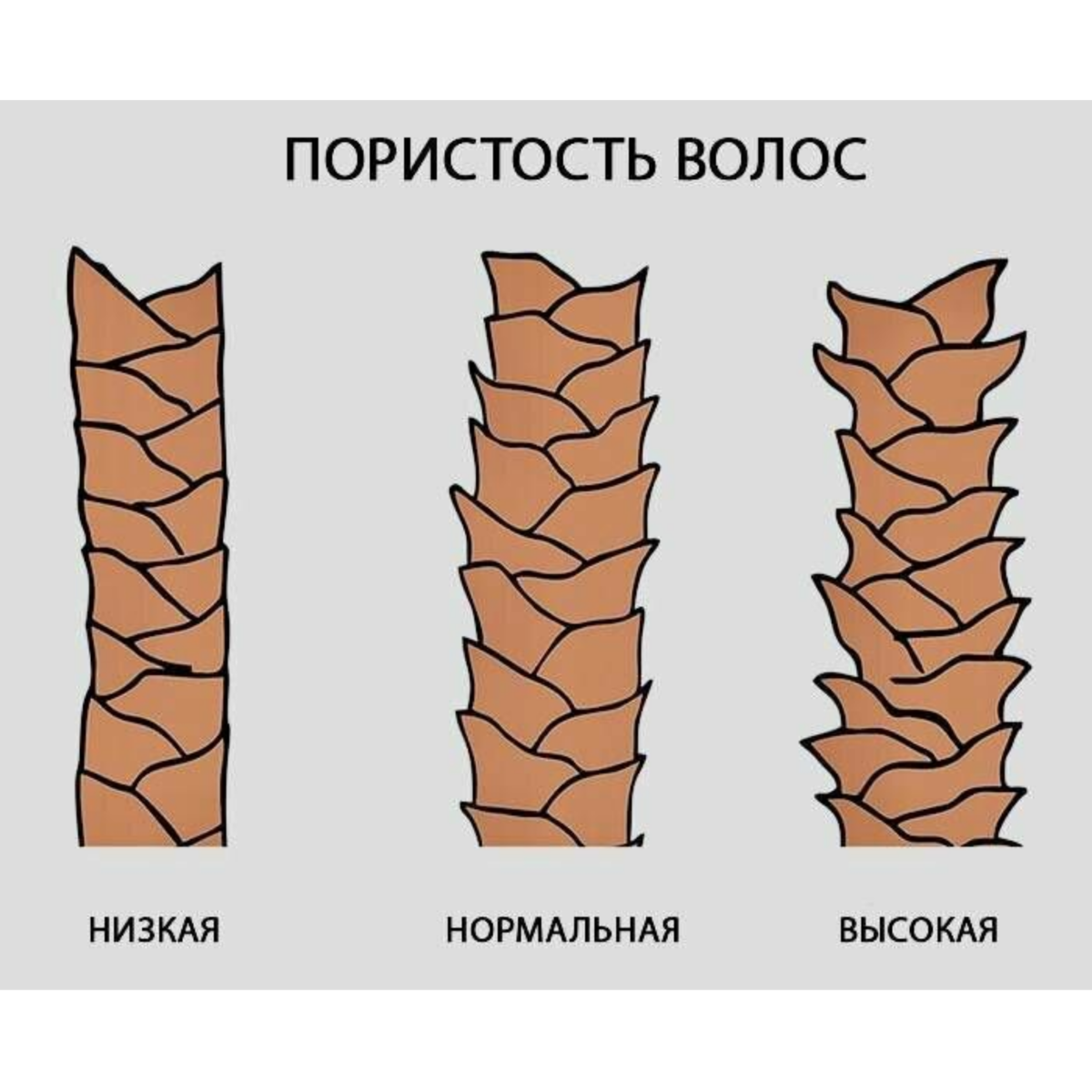 Что такое пористые волосы и как улучшить их внешний вид. | Парикмахер о  волосах | Дзен