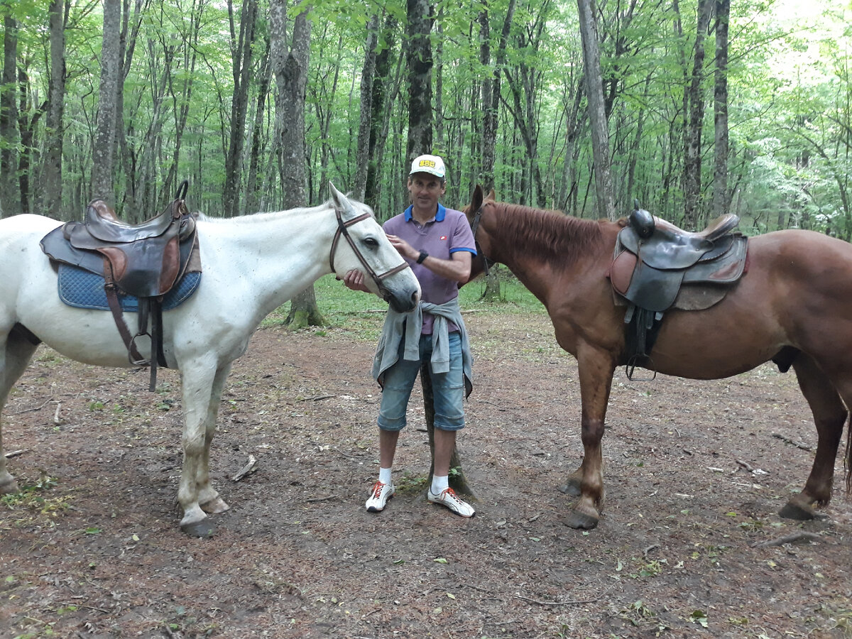 Конный прокат в ст. Шапсугской Краснодарского края (фото автора).