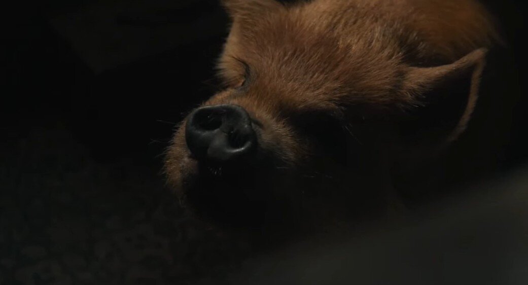 Скриншот автора