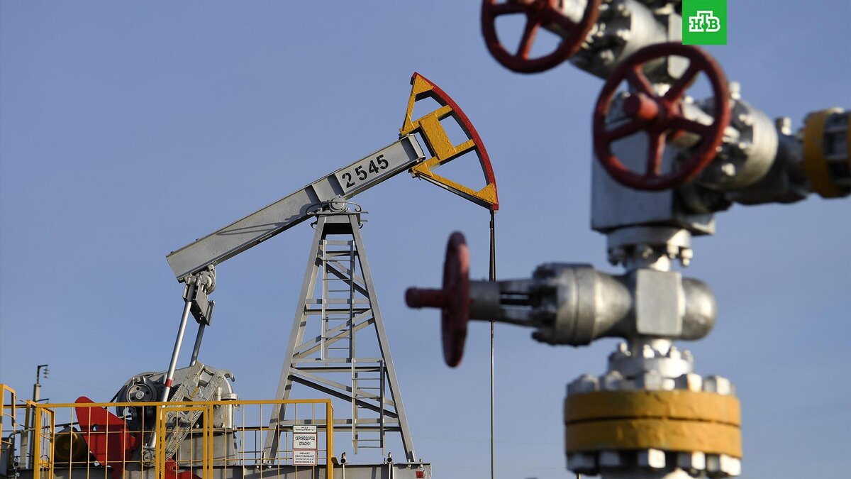    Фото: РИА Новости © 2023, Максим Богодвид