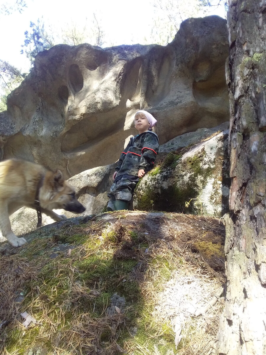 Это уже в лесу, на т.н. Сопках. Здесь сосед говорил, что видели медведя. Сосед - егерь. Рядом не волк, просто взяли свою собачку побегать.