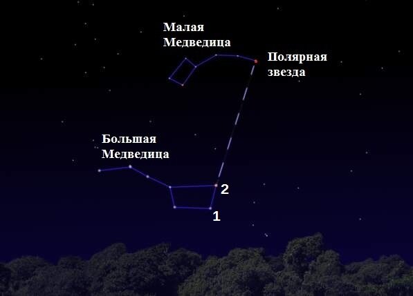 Северная звезда определить. Большая и малая Медведица Полярная звезда. Созвездие малая Медведица и большая Медведица и Полярная звезда. Полярная звезда по Ковшу большой медведицы. Малая Медведица и Полярная звезда на небе.