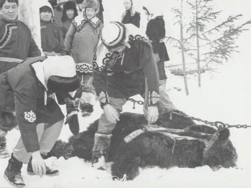 Какого зверя считали хозяином леса народы приамурья. Медвежий праздник у нивхов. Медвежий праздник нанайцев. Медвежий праздник на Сахалине. Эвенки Медвежий праздник.