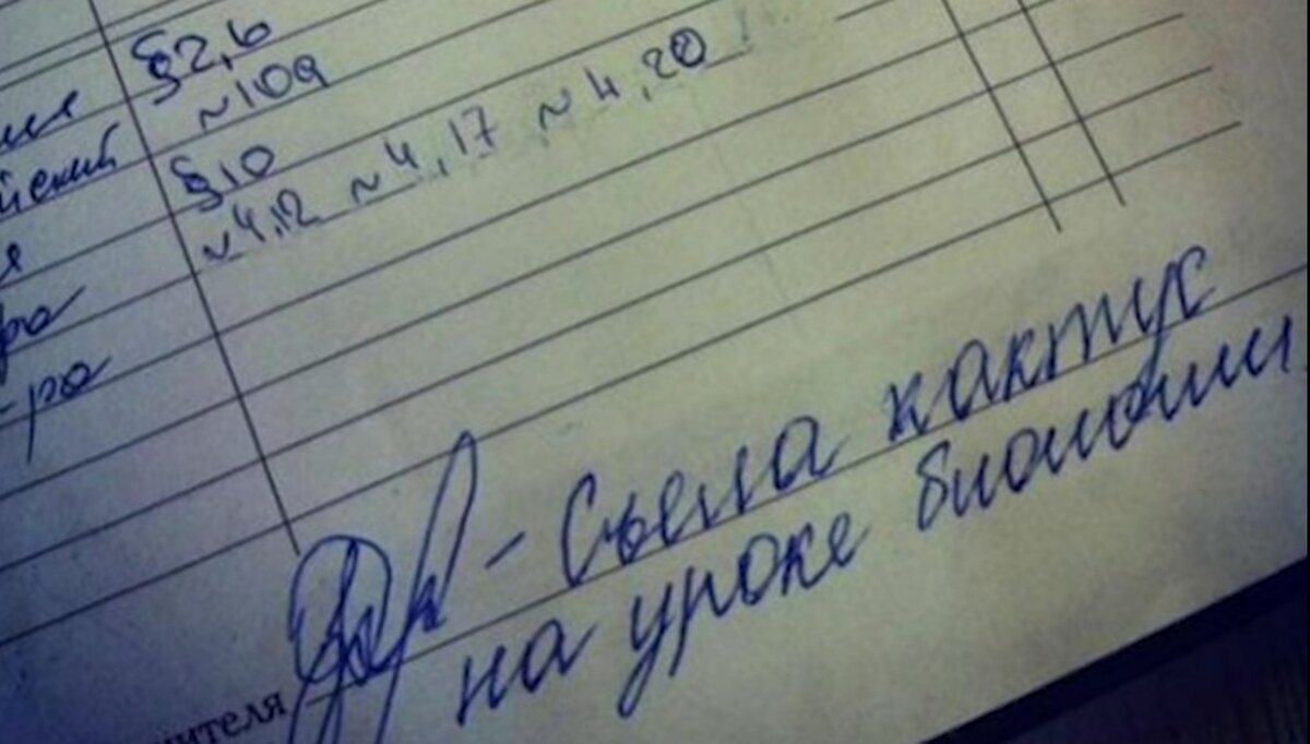 Добавьте описание