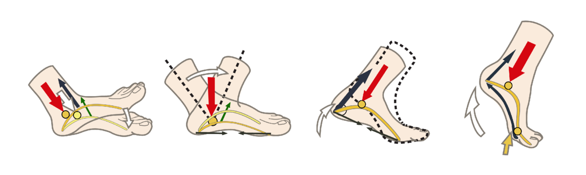 Добавьте описание