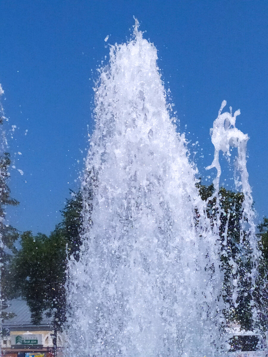 Моя свежесть...