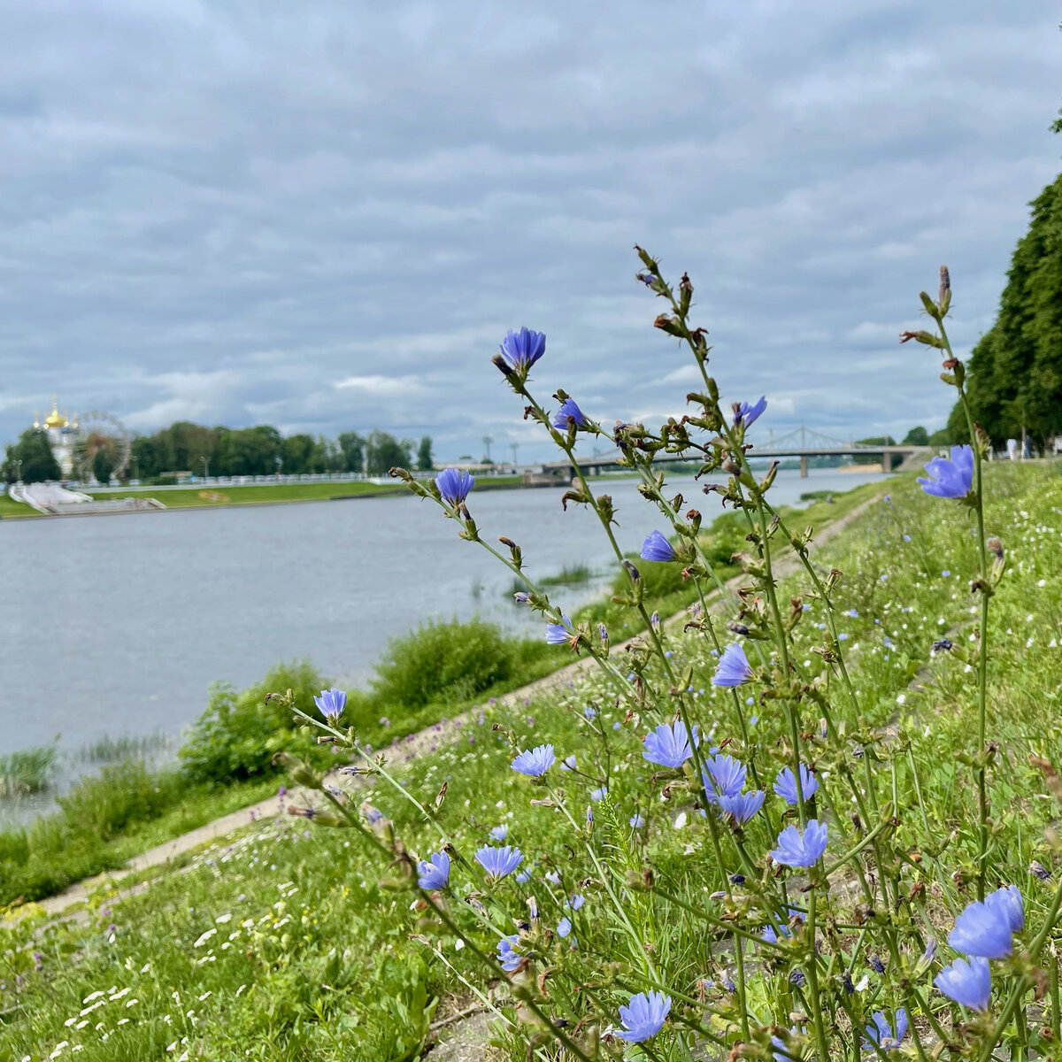 Маршрут выходного дня: Москва-Ржев-Старица-Тверь-Москва | Max Travel | Дзен