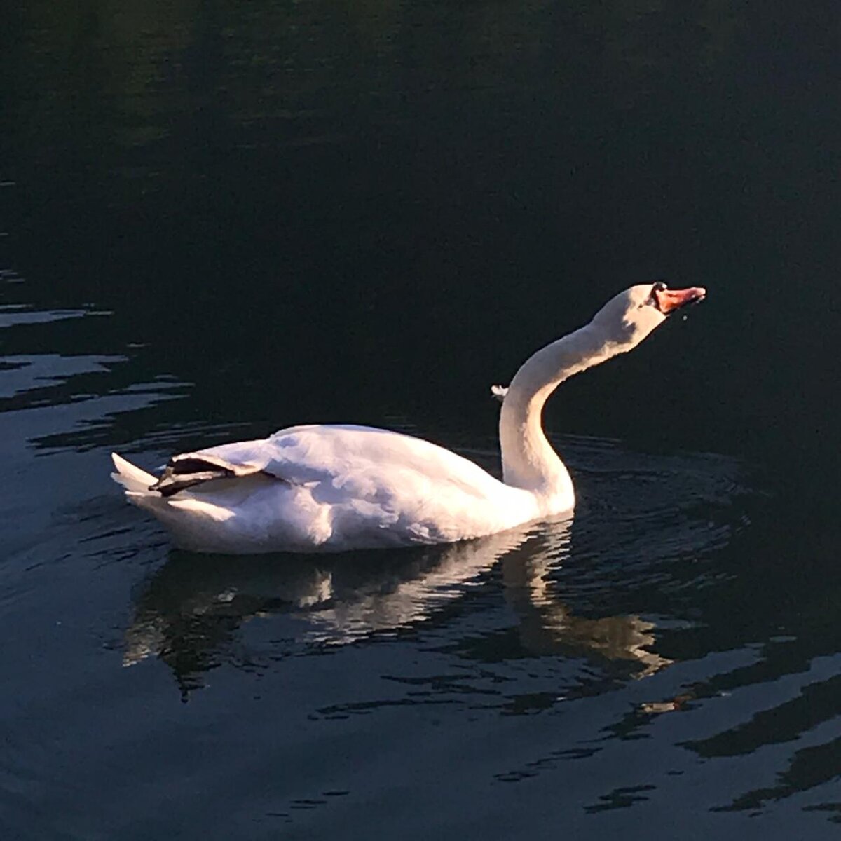 Байкал удивляет каждый раз🦢 Моя поездка на 