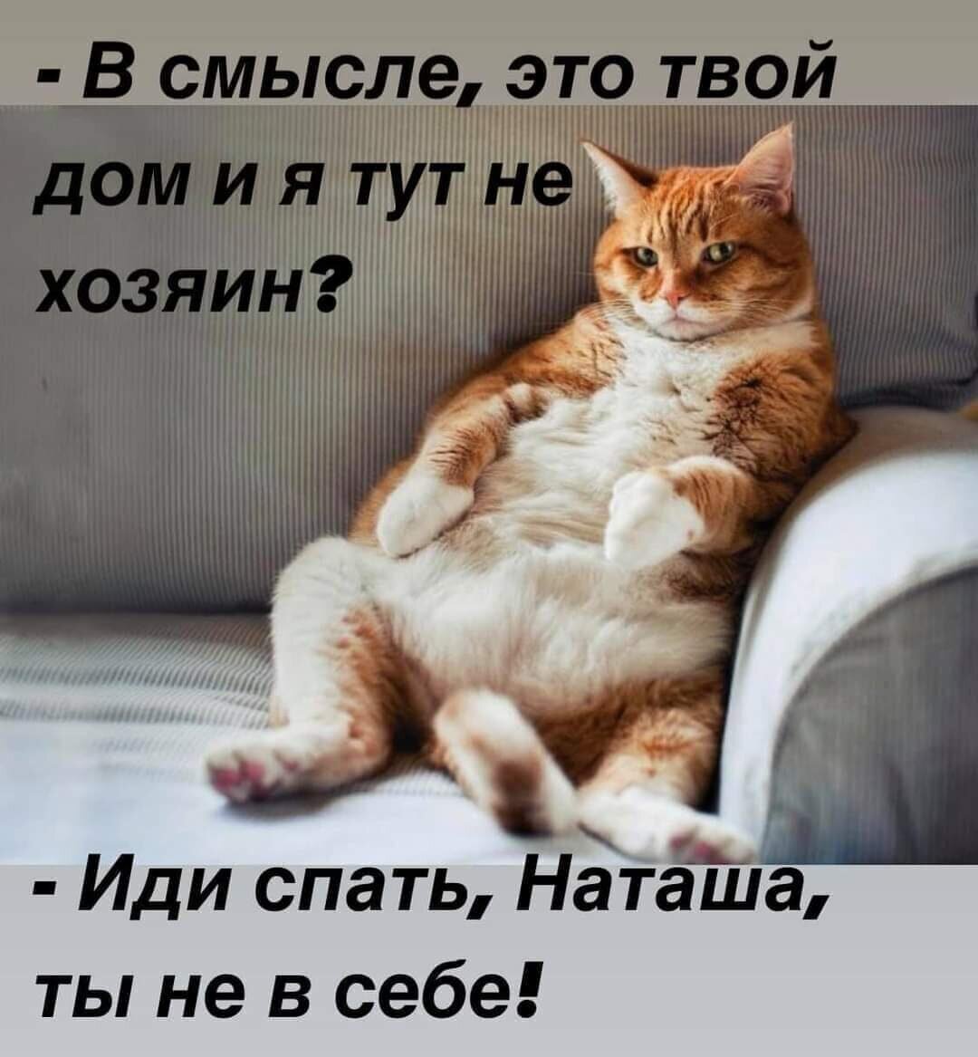 Картинка из интернета