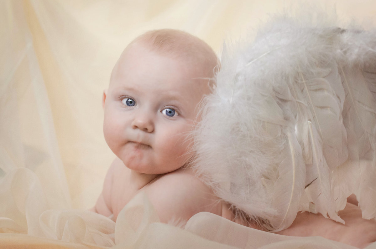 Фото из открытого доступа