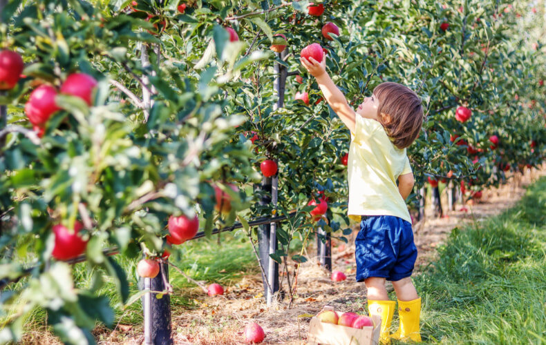 Что они скрывают? 