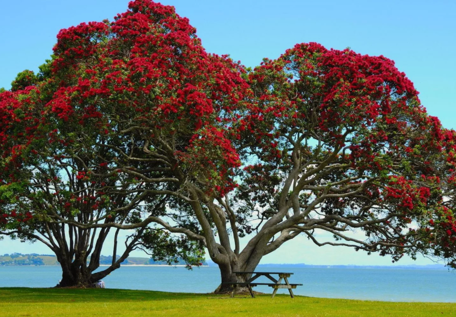 Красивый вид на фоне моря