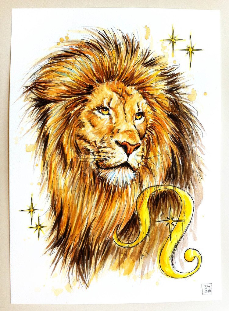 Яндекс картинки