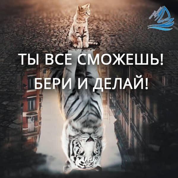мотивашка