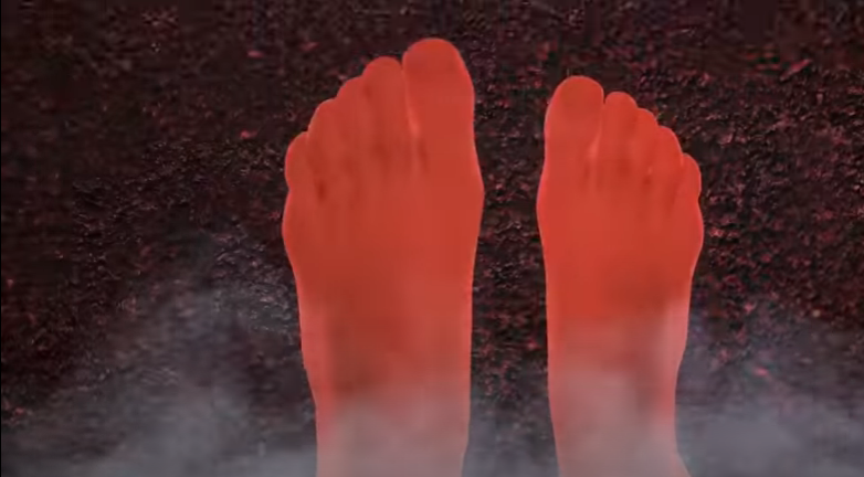 Какие ощущения у собак от раскаленного асфальта? Такие же, как и у босого человека.