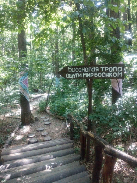 В москве тропа босоногая лосиный. Лосиный остров Дендрарий Босоногая тропа. Балашиха тропа Босоногая Лосиный остров. Парк Лосиный остров Босоногая тропа. Босонога тропа лосины остров.