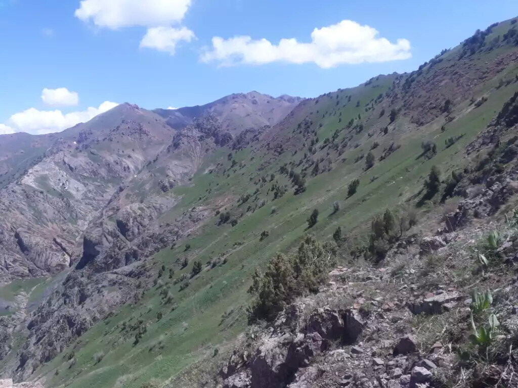  Кураминский хребет.То самое место, вверху, слева.