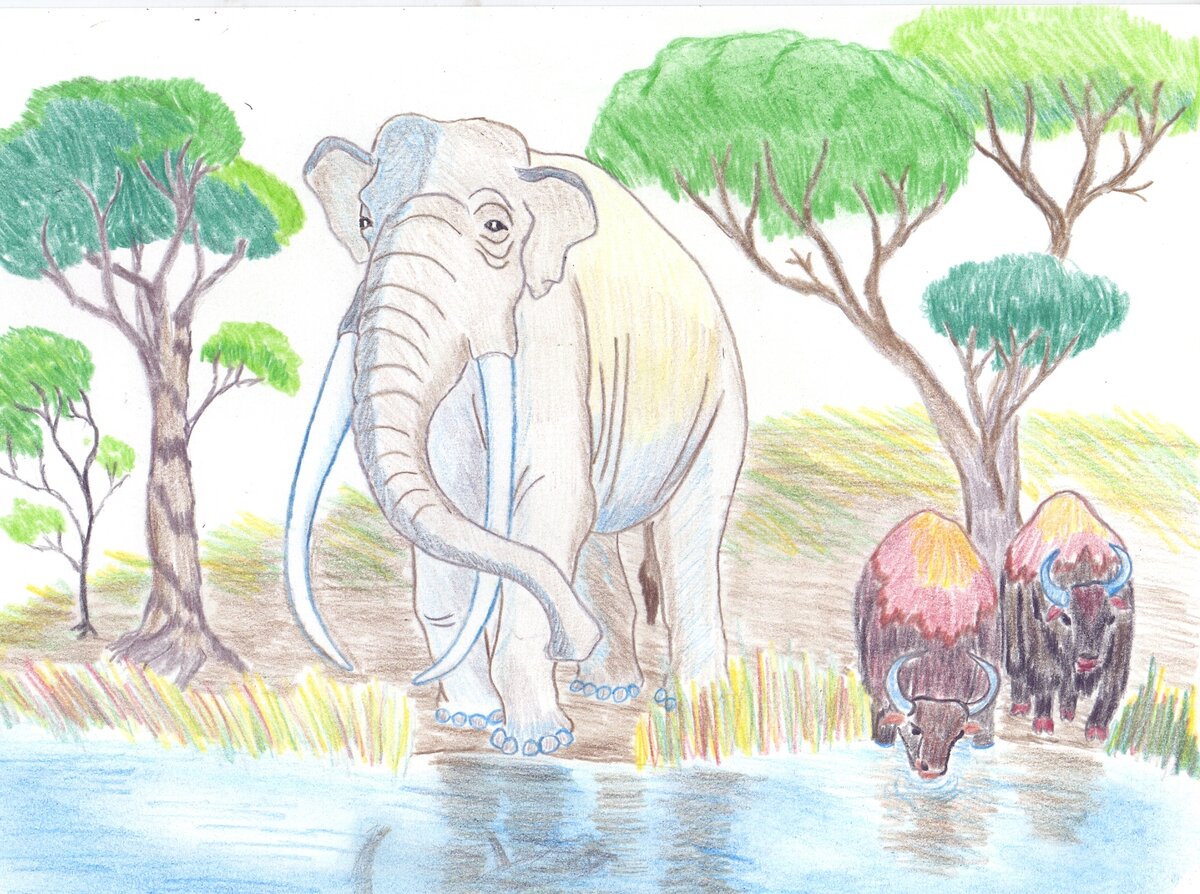 Палеолоксодон. Прорисовка автора.