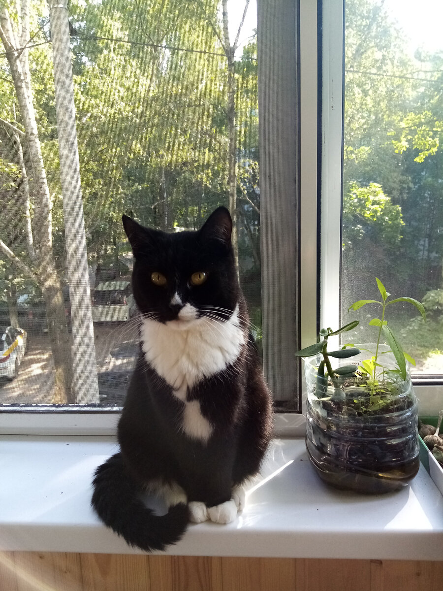 Рассказываю сказки-приходите. 