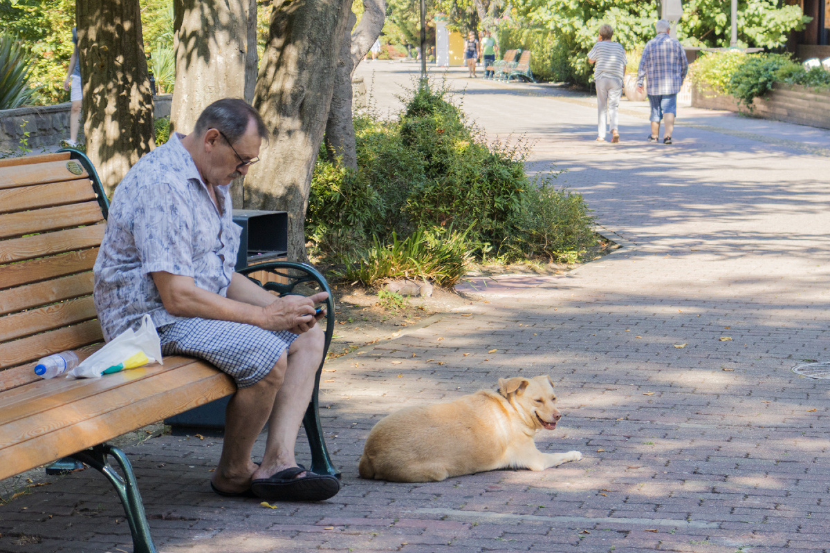 Нижний Приморский парк, Сочи