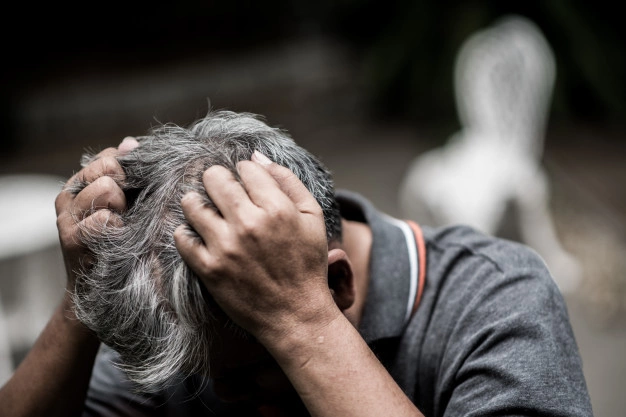 фото из свободного доступа сети интернет