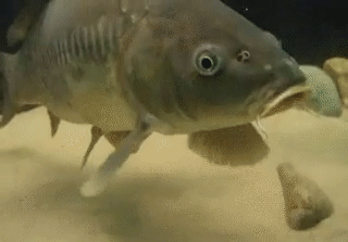 Ты говоришь, но тебя никто не слышит :)