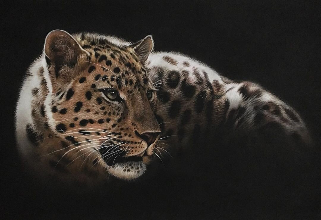 Фото: © Julie Rhodes, instagram.com/julierhodes_fine_art_drawings/