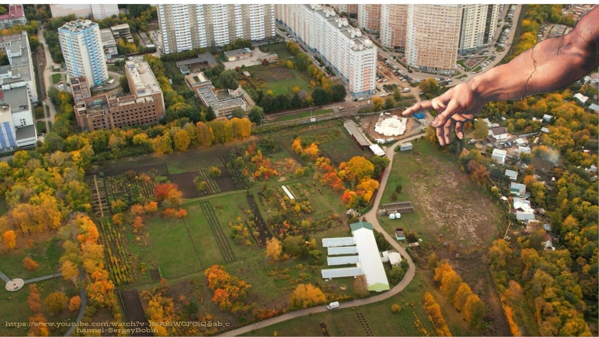 картинка из группы https://vk.com/botanicae_samara