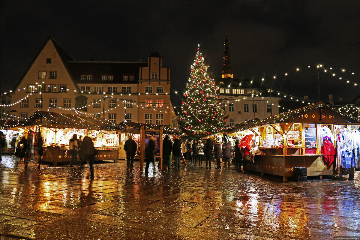 Фото: © Julia Alisova 