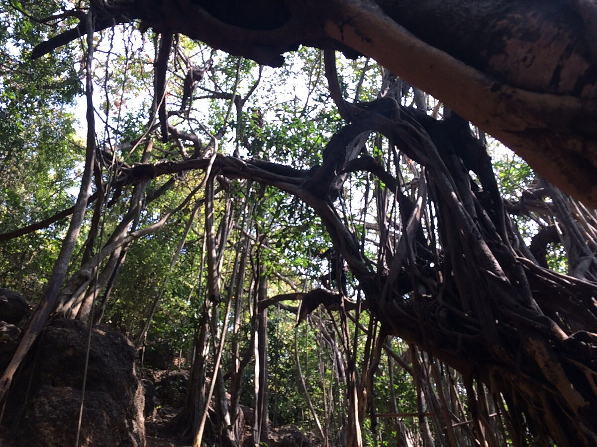 Фото из моего архива