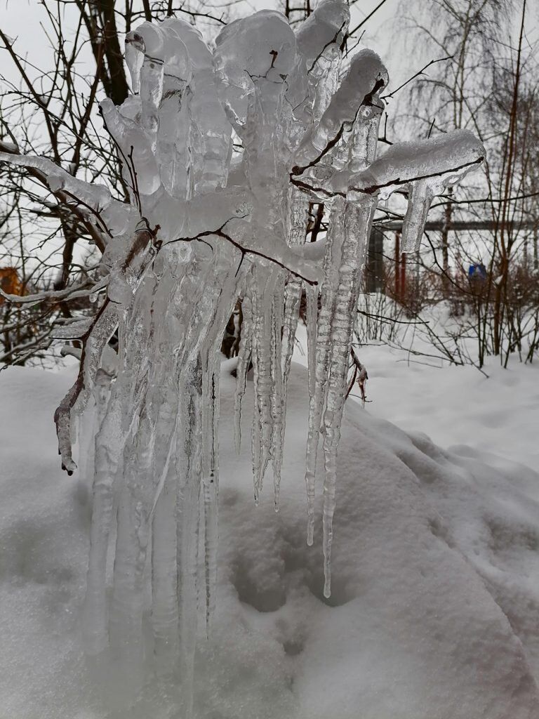 Облики аномальной зимы. Ледяной дождь новороссийск. Облики аномальной зимы. Сталкер аномальная роща. Облики аномальной зимы.