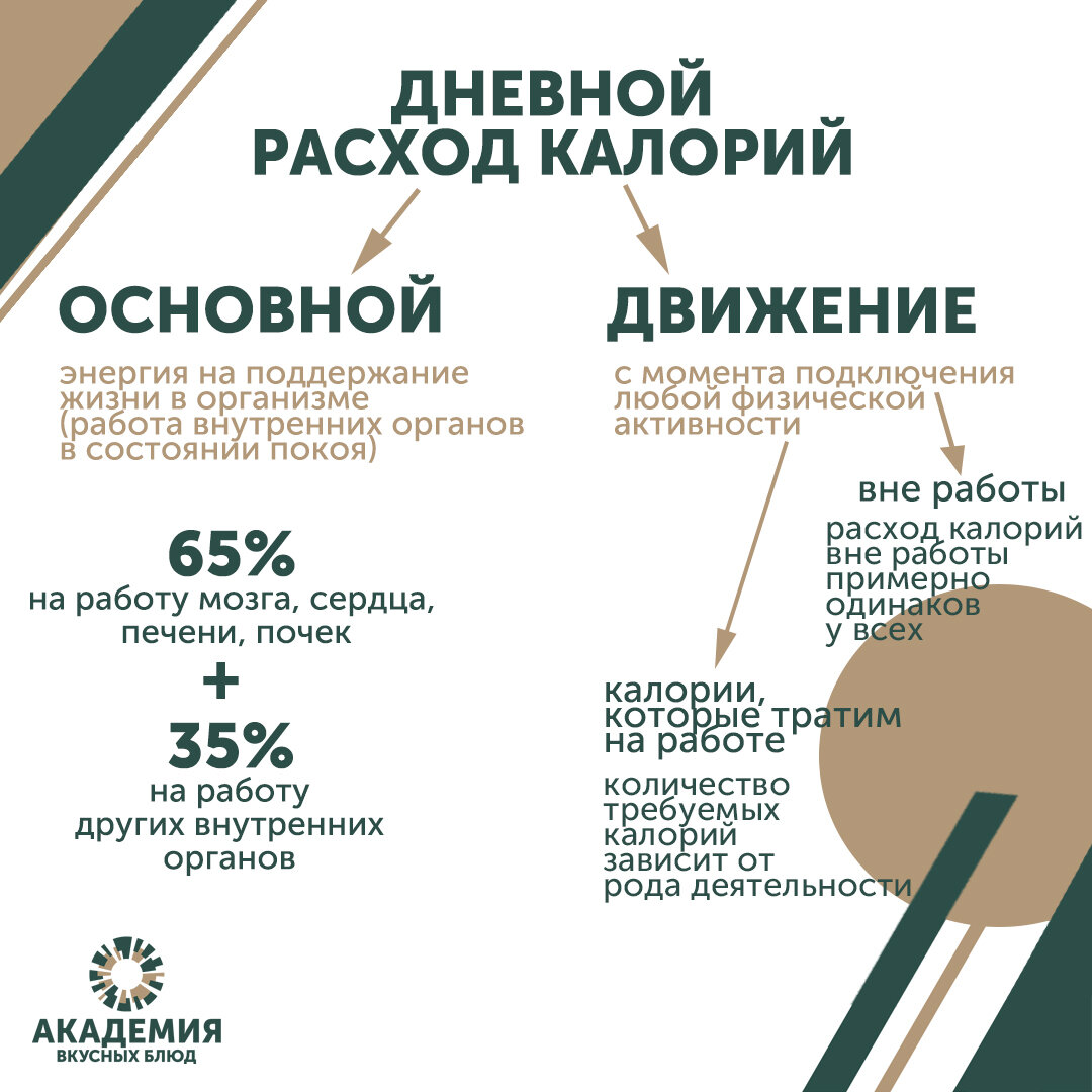 Сколько калорий в день мы тратим: изучаем энергетический расход организма [Красота и здоровье krasota]