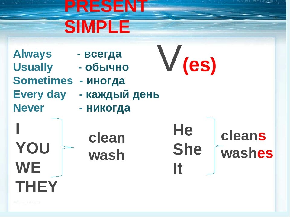 Present simple схема утвердительного предложения