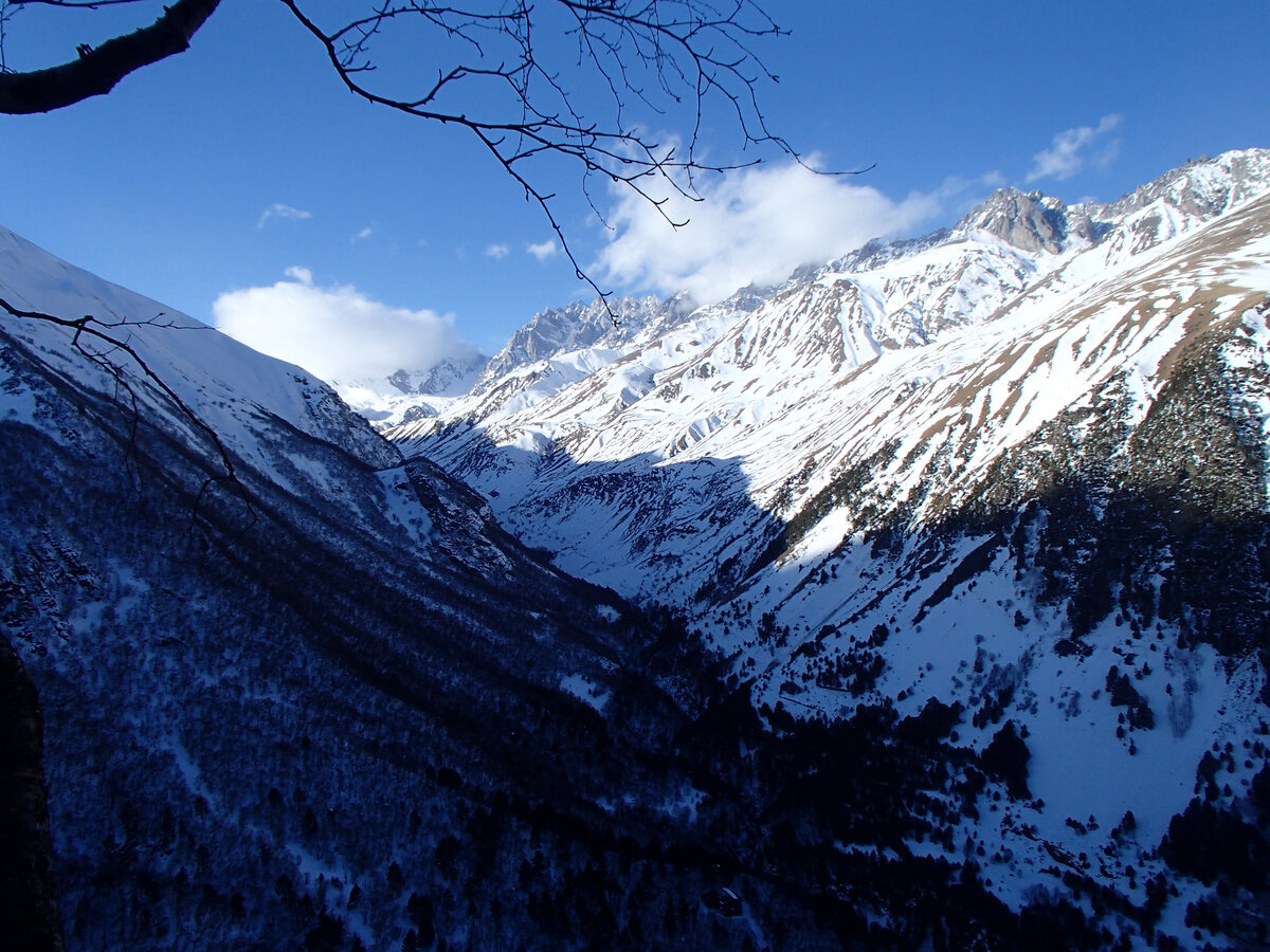 виды сверху