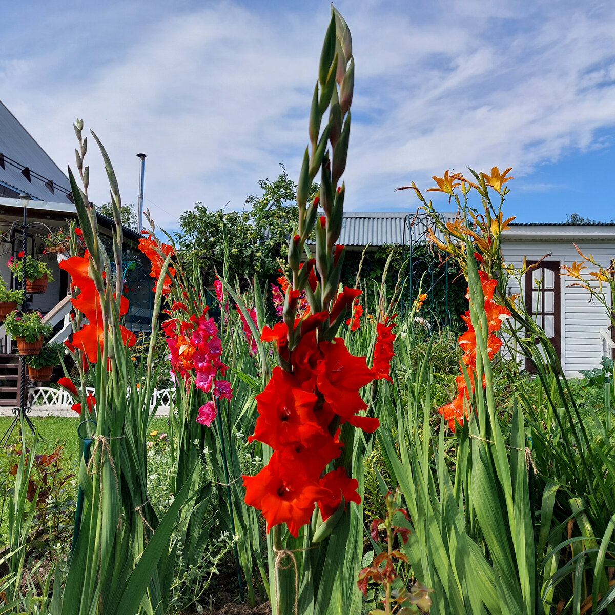 16 августа 2021 г.