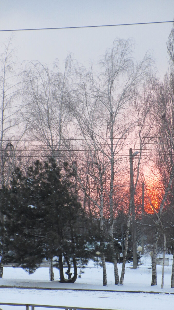 Ог-Огиня Свет вечности, огневица односоединая 