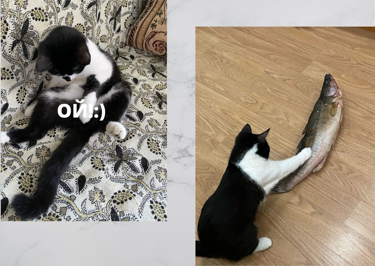 Визуал у нас разный имеется. Не весь применить можно:)